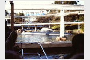 Disneyland och Sea World (56).JPG